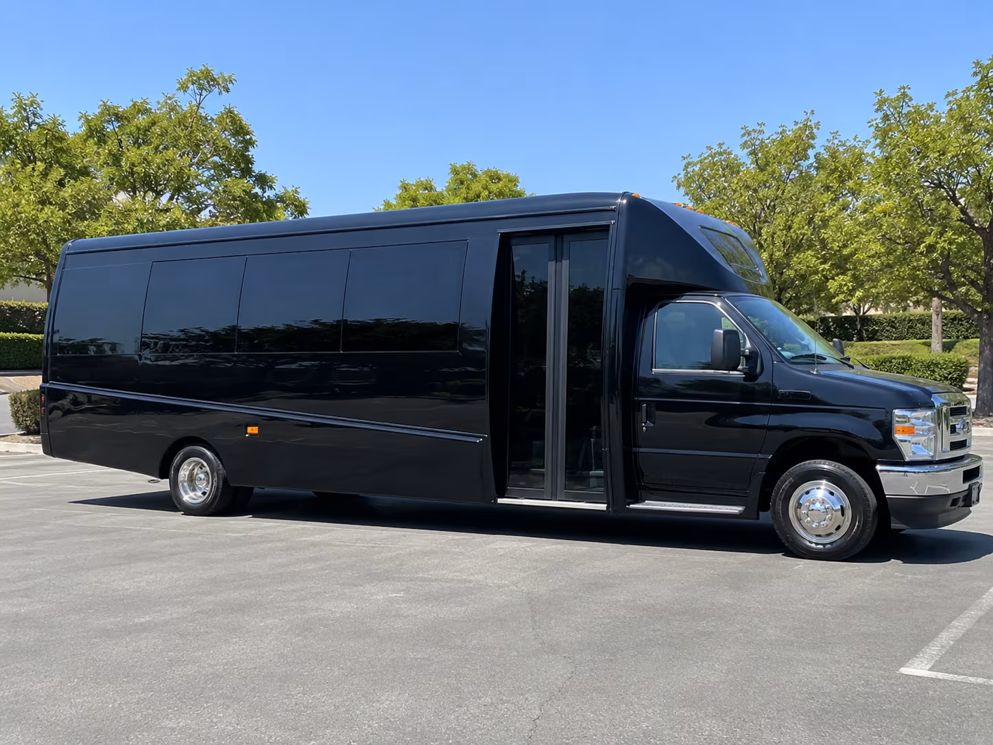 boise birthday party transportation