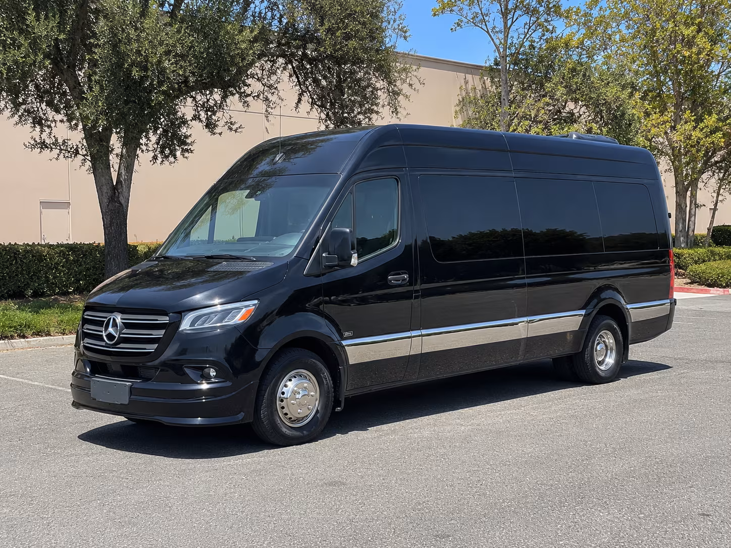 boise sprinter van with driver